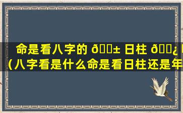 命是看八字的 🐱 日柱 🌿 吗（八字看是什么命是看日柱还是年柱）